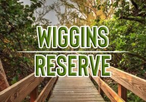Wiggins Reserve in St. Cloud Florida 55+ Active Adult Retirement Community